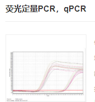 熒光定量PCR，qPCR實(shí)驗服務(wù)